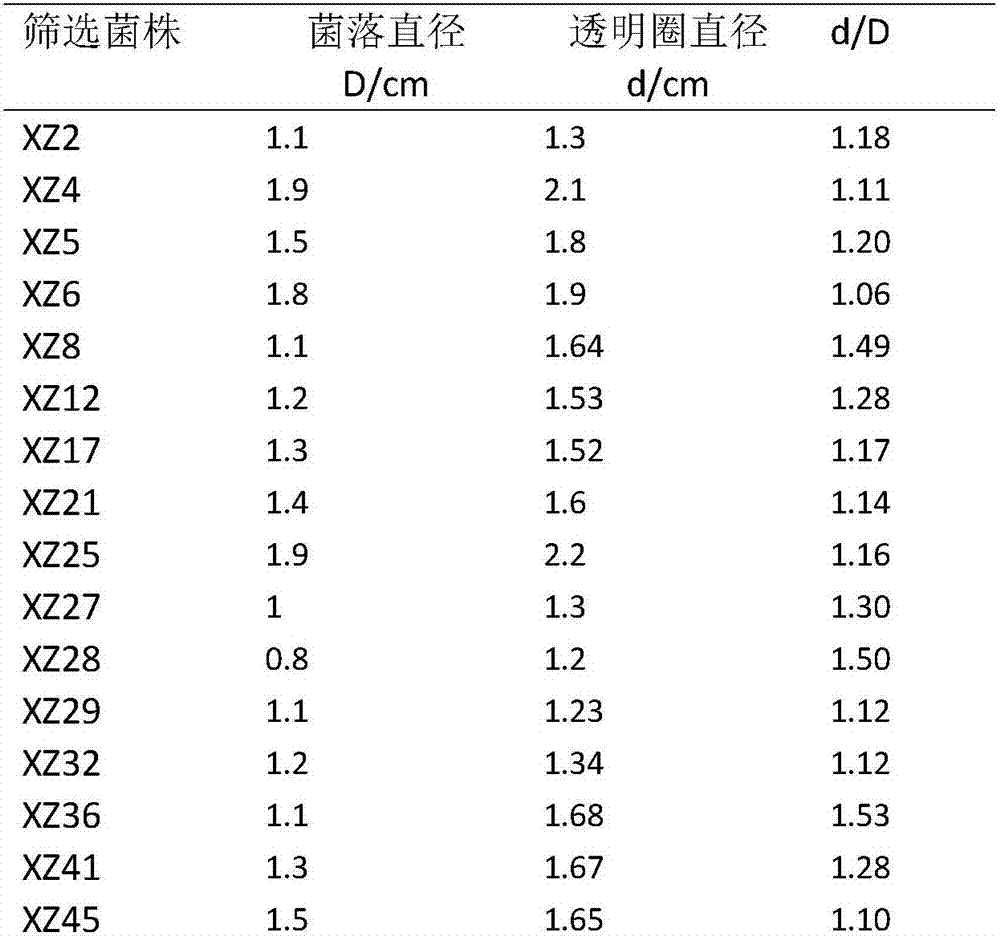 Paecilomyces thermophila mutant strain and mutation induction method and application thereof