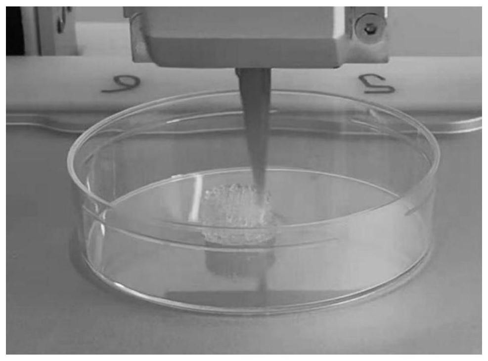 Preparation method and application of biological ink containing PRP