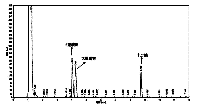 Rhodococcus ZJPH1003 and application thereof in preparing S-(+)-2,2-dimethylcyclopropane carboxylic acid