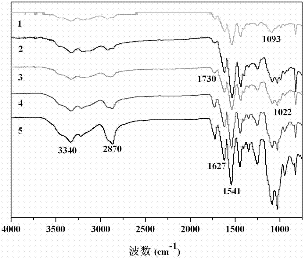 Diamino triazine hydrogen bond enhanced hydrogel based on cyclodextrin crosslinking and preparation method and application thereof