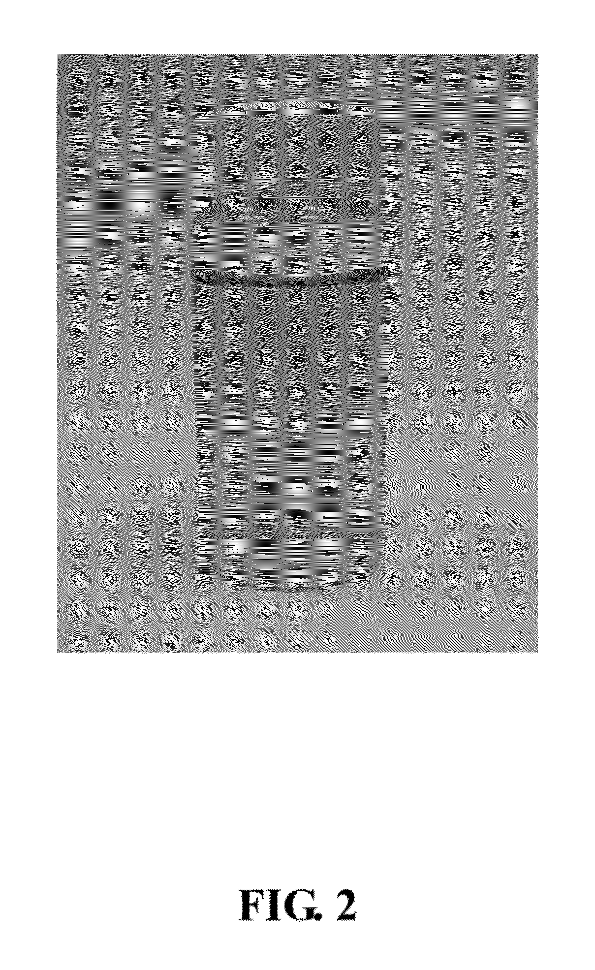 Method for the preparation of graphene