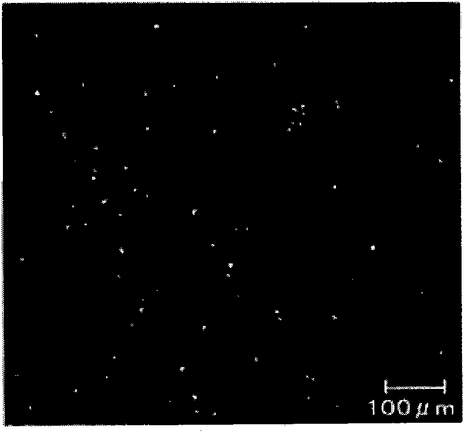 Aqueous dispersion containing polysaccharide particulate gel and method for producing the same