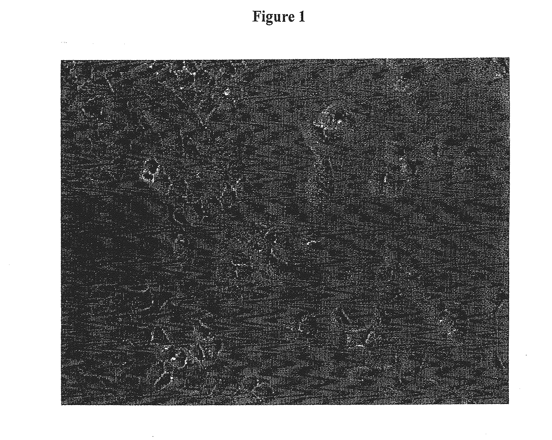 Methods of Light Activated Release of Ligands from Endosomes