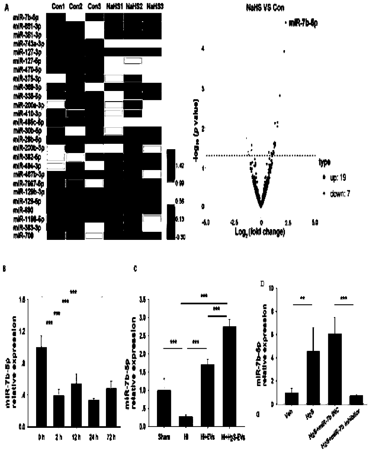 Application of hydrogen sulfide modified mesenchymal stem cells (MSCs) extracellular vesicles (EVs) serving as miRNA delivery vector to hypoxic-ischemic brain damage (HIBD)