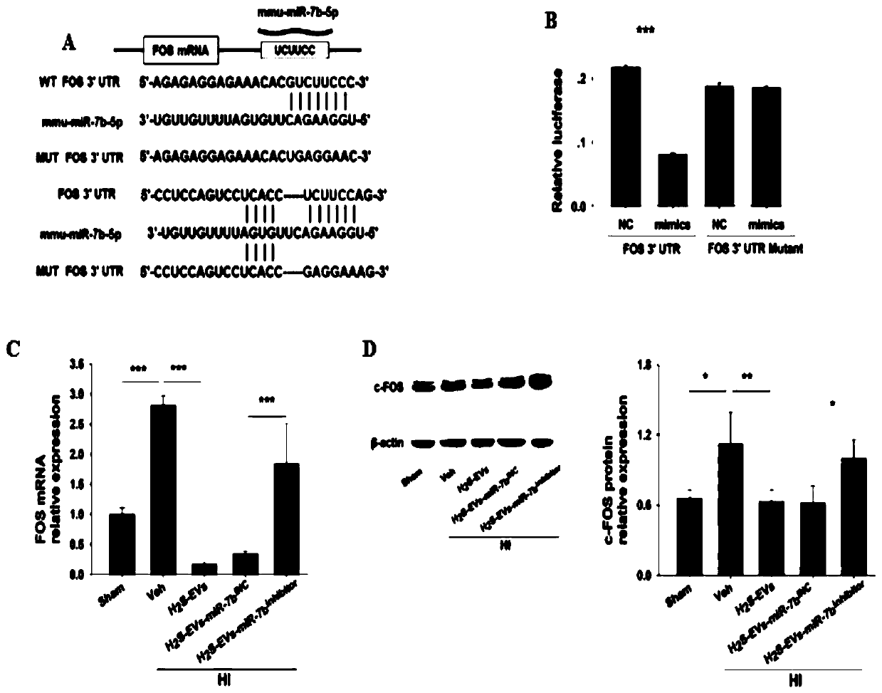 Application of hydrogen sulfide modified mesenchymal stem cells (MSCs) extracellular vesicles (EVs) serving as miRNA delivery vector to hypoxic-ischemic brain damage (HIBD)