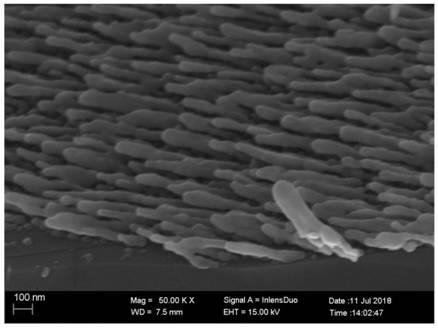 Sample platform capable of simultaneously preparing surface-enhanced Raman substrate on large scale