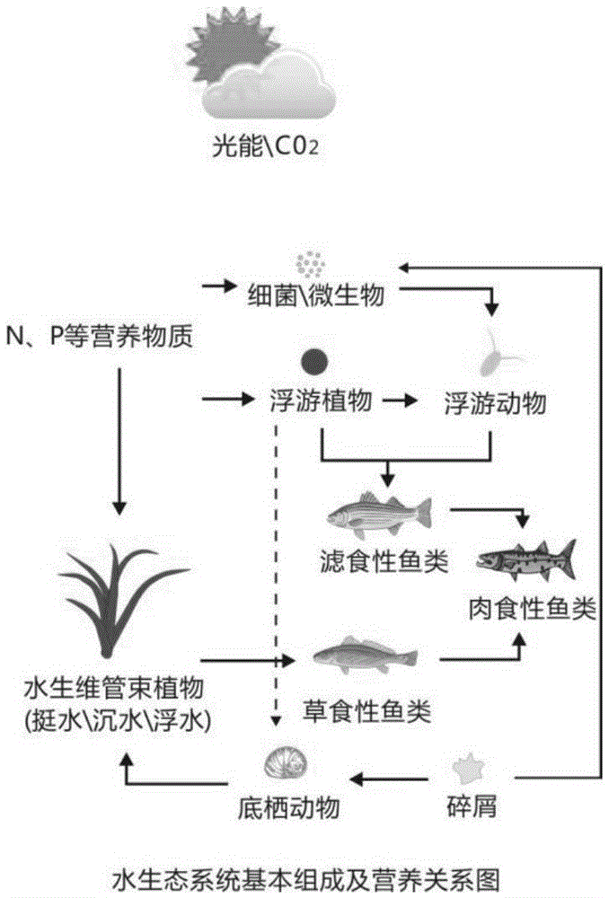 A Multidimensional Ecosystem Restoration Method