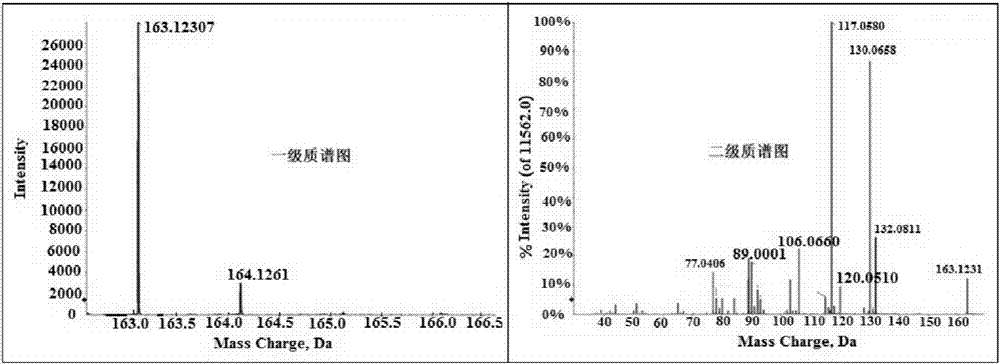 High-throughput analysis method for identifying hazardous waste substances in solid wastes