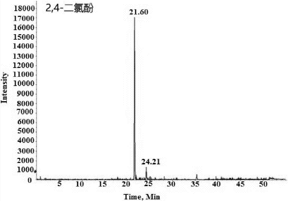 High-throughput analysis method for identifying hazardous waste substances in solid wastes