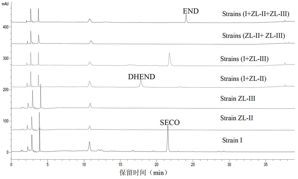 A Strain of Eubacterium mucilage and Its Application