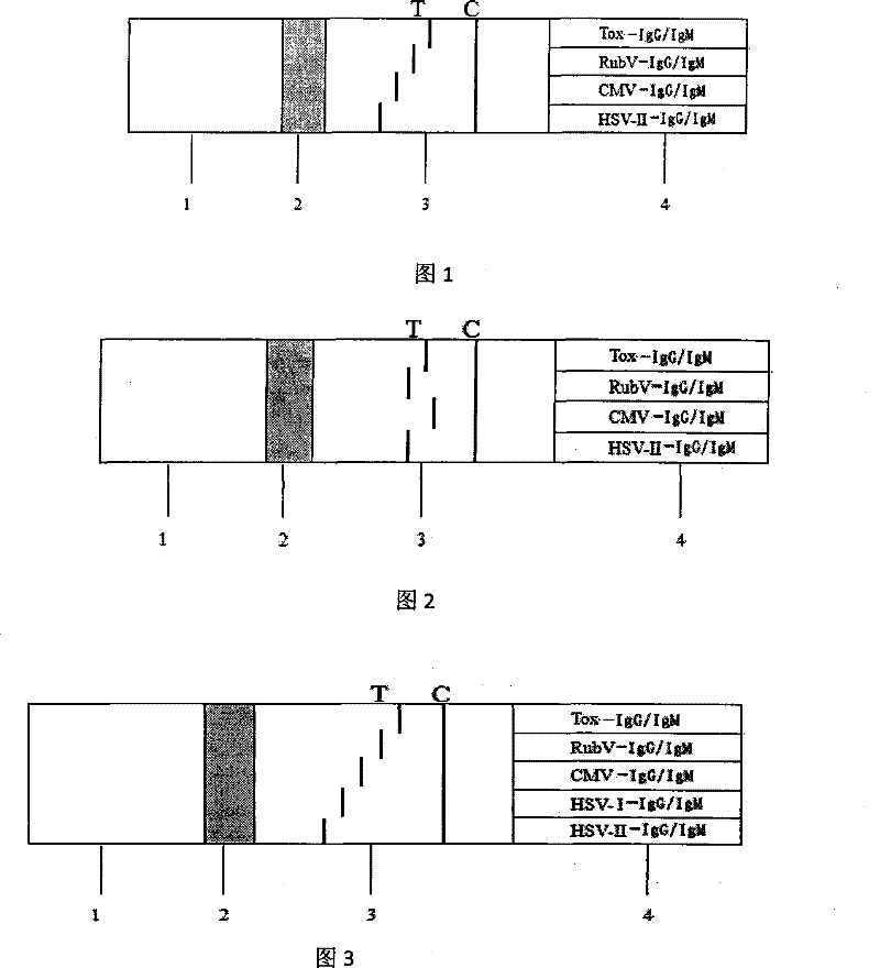 Immunochromatographic test paper and preparation method for simultaneously detecting torch infection