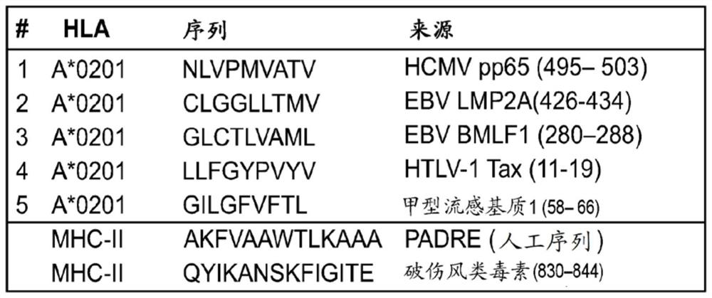 Immune checkpoint inhibitor co-expression vectors