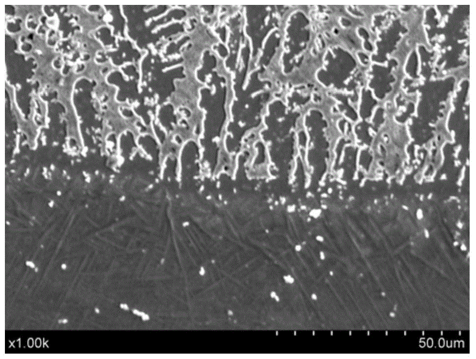 Laser cladding method for preparing high-quality nickel-based alloy coating on titanium metal surface