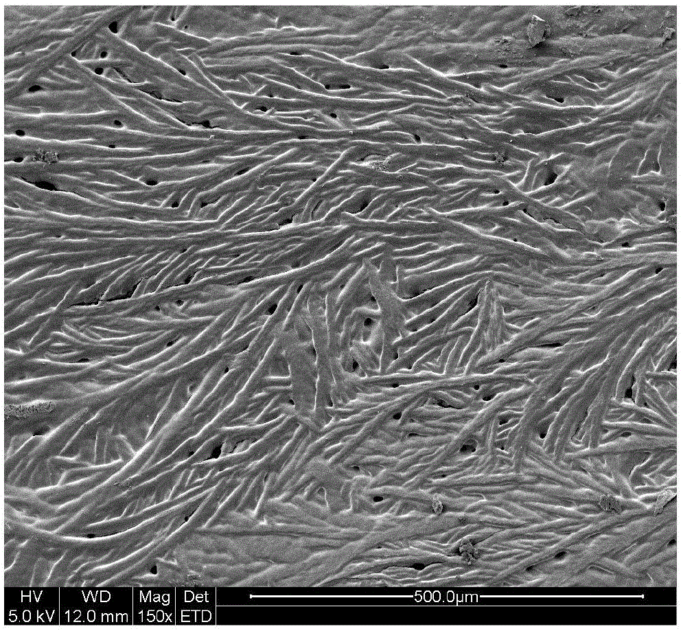 Preparation method of water-soluble high-molecular cyclodextrin polymer