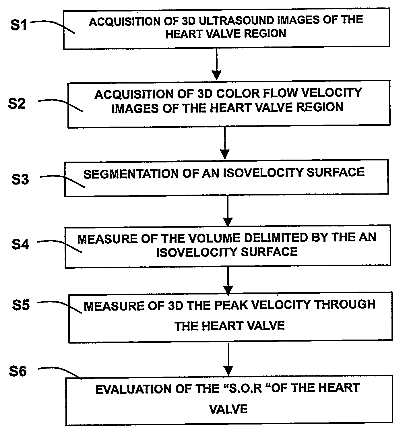 Viewing system having means for processing a sequence of ultrasound images for performing a quantitative estimation of f flow in a body organ