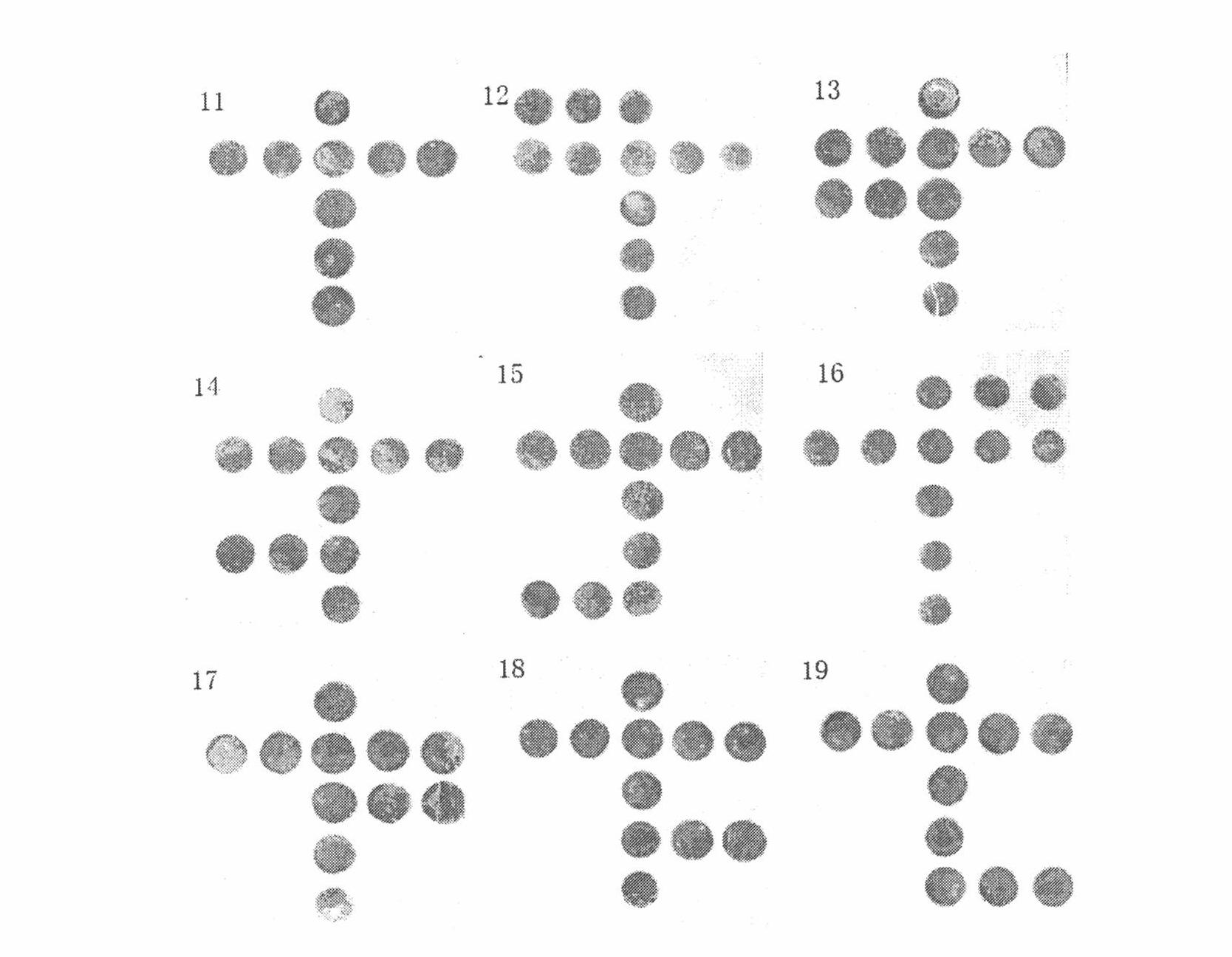 Visible chip-based method for detecting food allergens