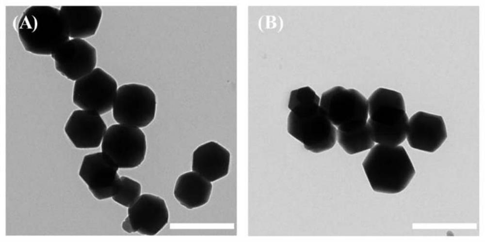 Double-enzyme active cobalt monatomic nano-enzyme as well as preparation method and application thereof