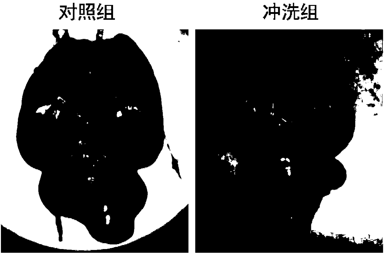 Application of colloidal gold to preparation of artificial cerebrospinal fluid reagent