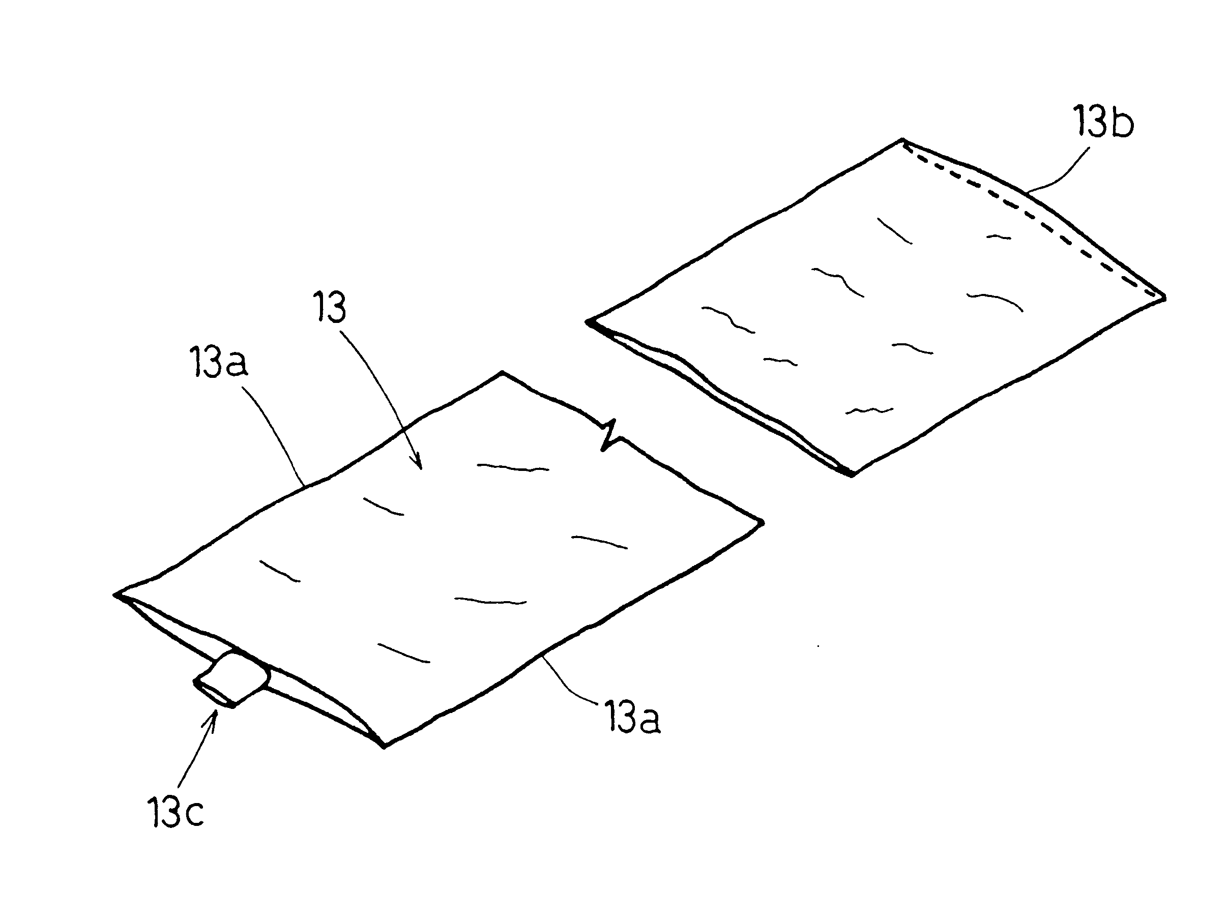 Pneumatic tire and method for manufacturing pneumatic tire