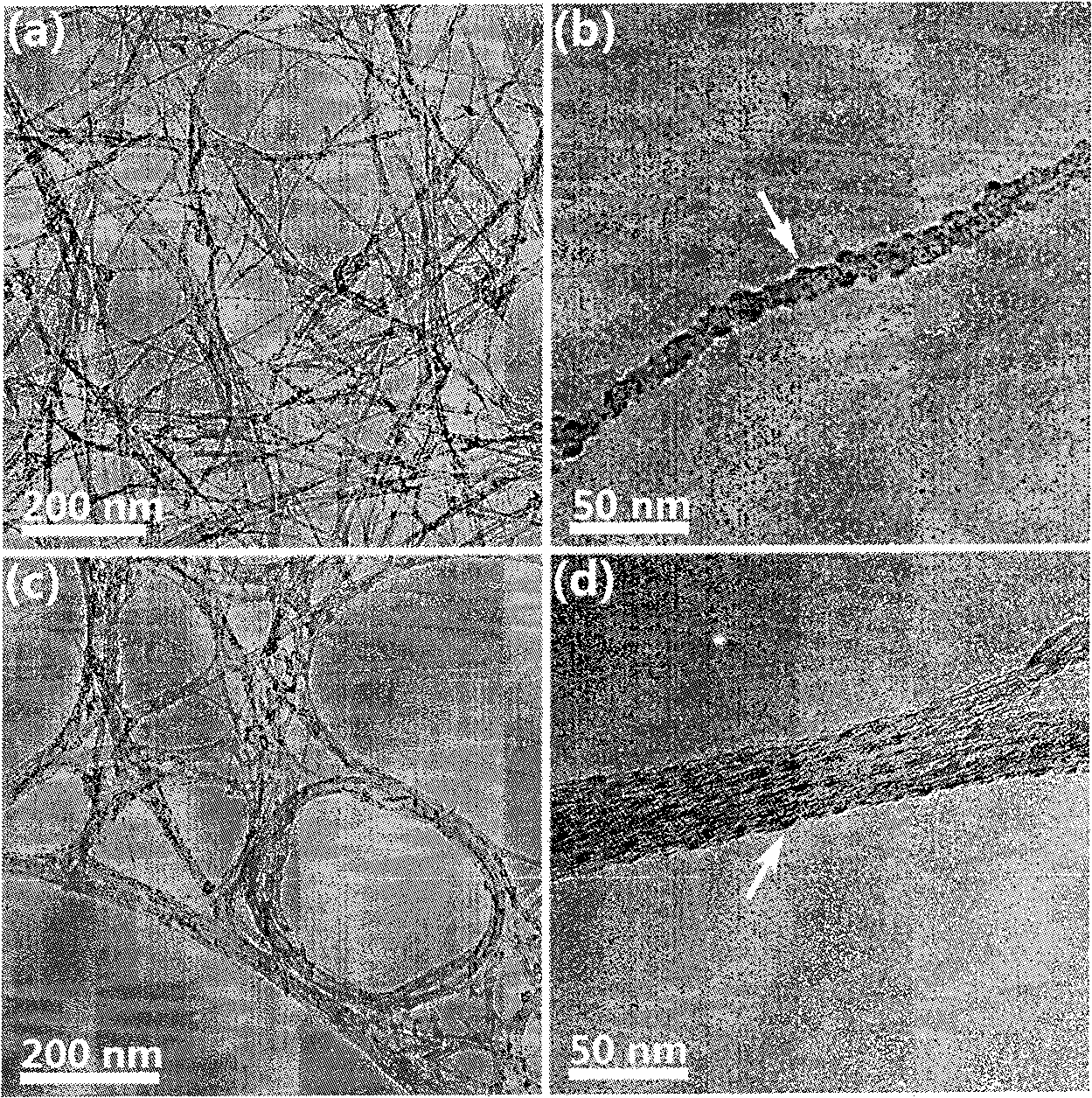 Method for preparing single-wall carbon nanotube metal organic frame