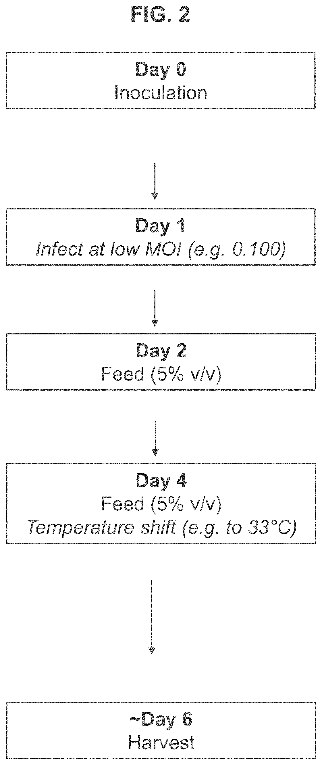 Methods of producing adenovirus