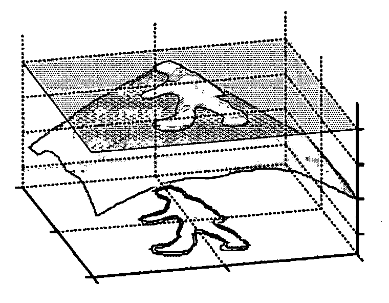 Method for detection and tracking of deformable objects