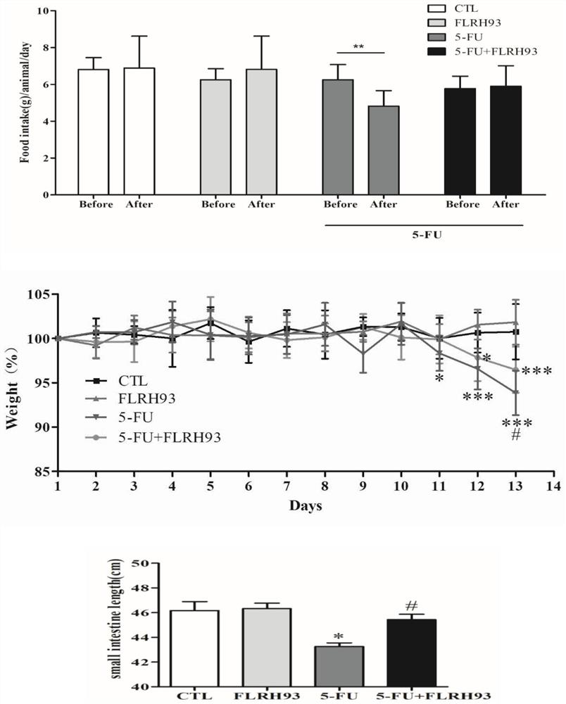 A kind of Lactobacillus rhamnosus, microbial agent and food product