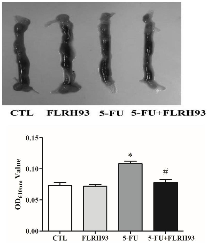 A kind of Lactobacillus rhamnosus, microbial agent and food product