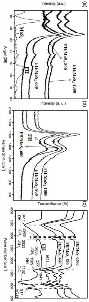 Method for preparing hyphae/molybdenum sulfide adsorption-catalytic material by bioaccumulation