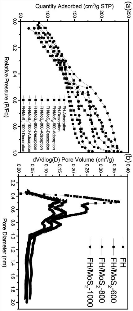 Method for preparing hyphae/molybdenum sulfide adsorption-catalytic material by bioaccumulation