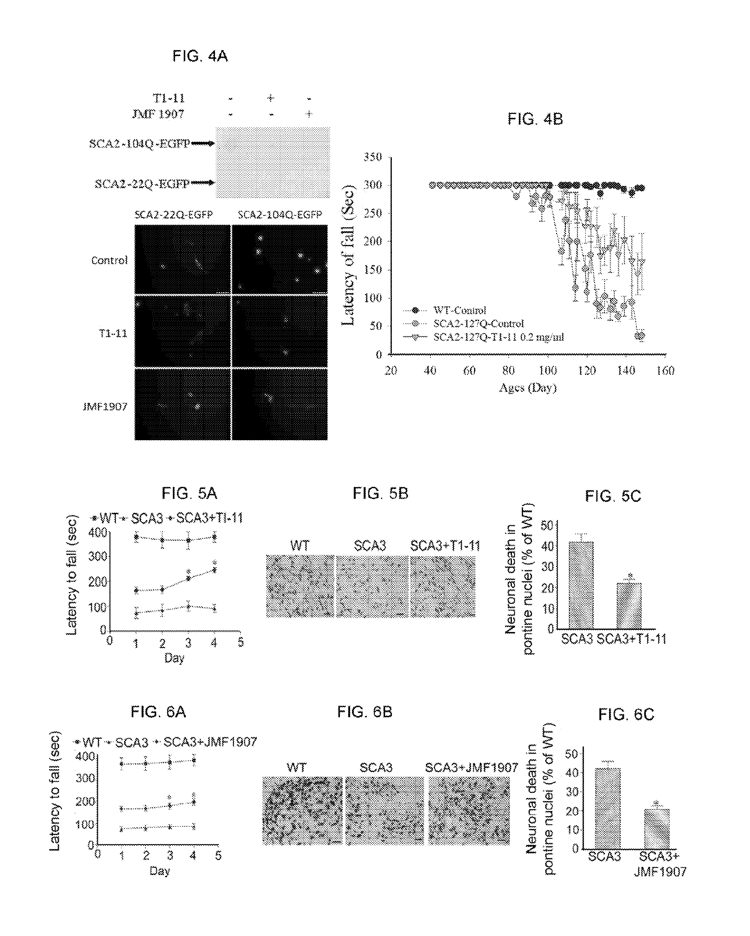 Compounds for use in prevention and treatment of neurodegenerative diseases and pain