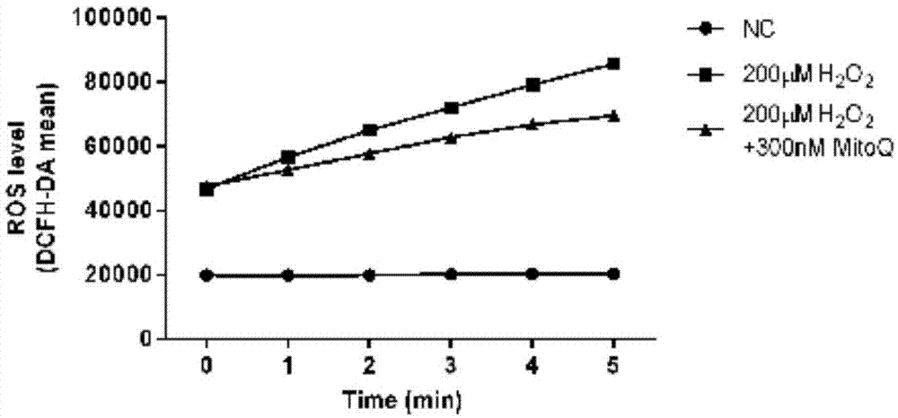 Method for evaluating in-vivo oxidation stress based on detection of peripheral blood mitochondria DNA oxidative damage