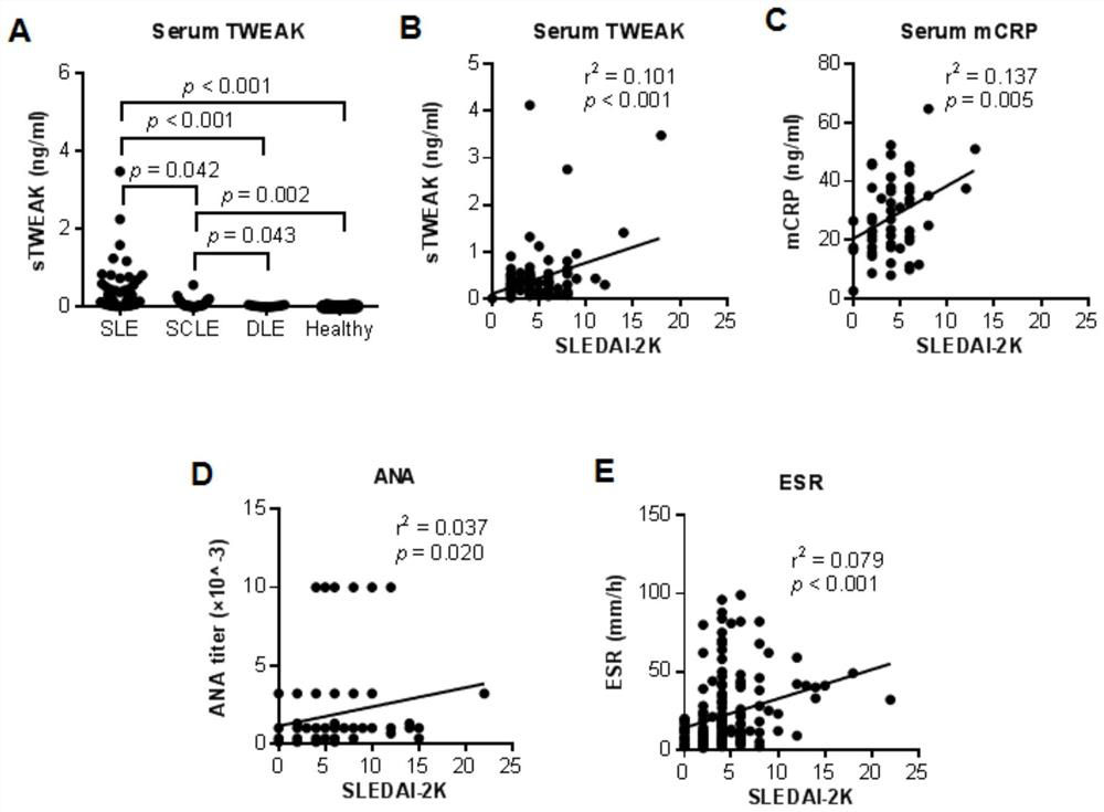 Application of tweak in the preparation of diagnostic reagents for lupus erythematosus