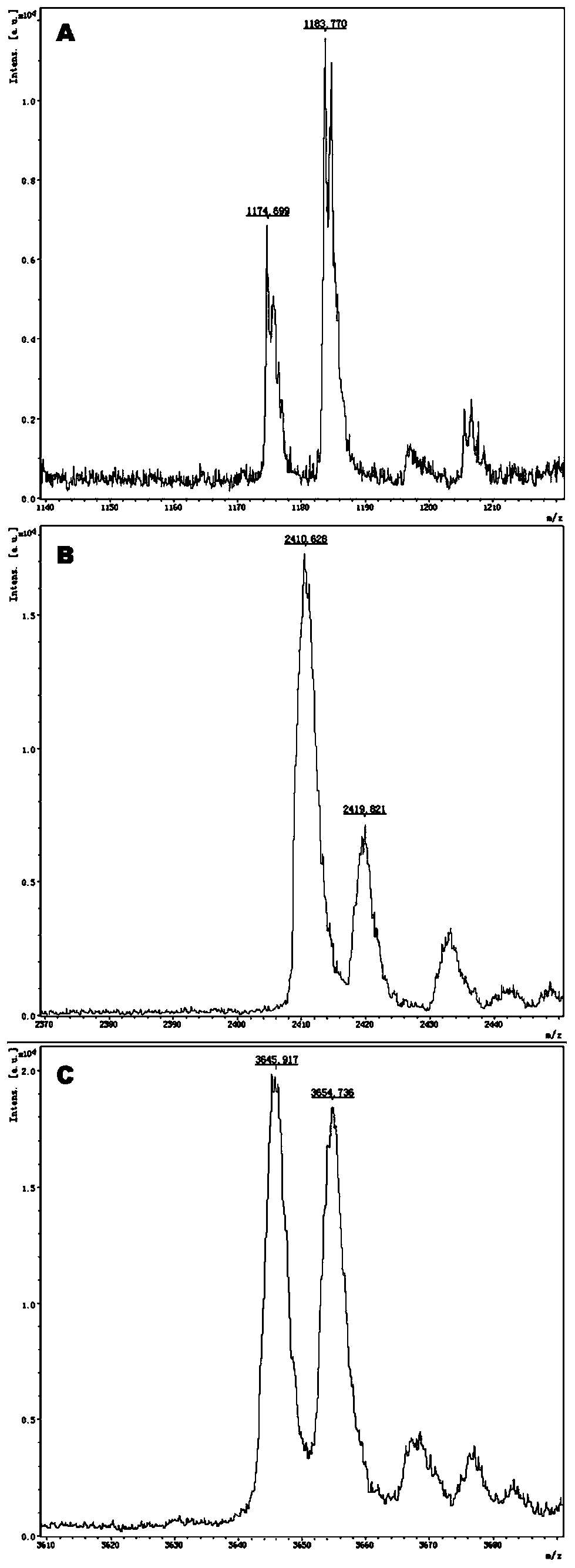 Primer composition for distinguishing individualized medication type of valsartan