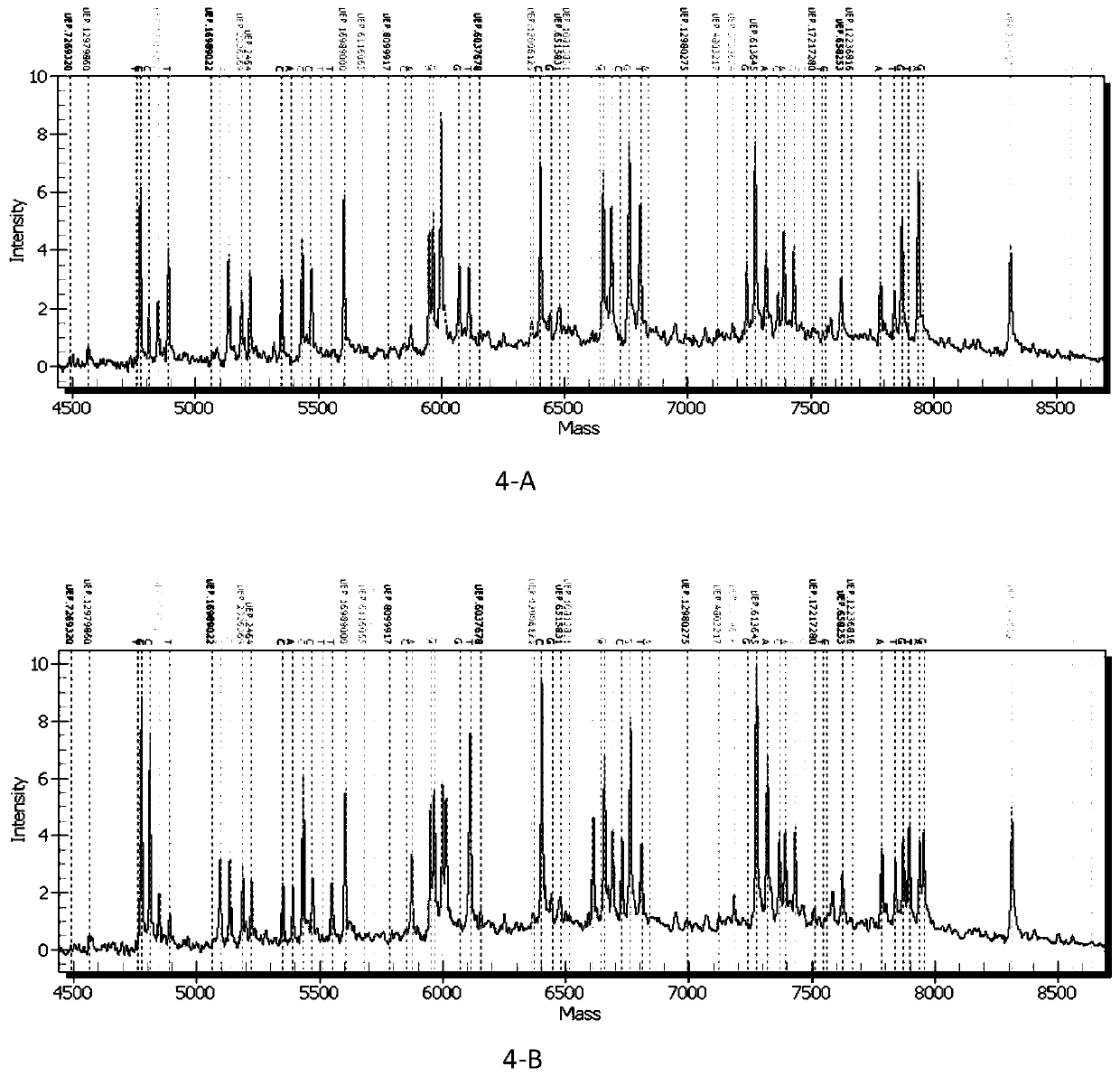 Primer composition for distinguishing individualized medication type of valsartan