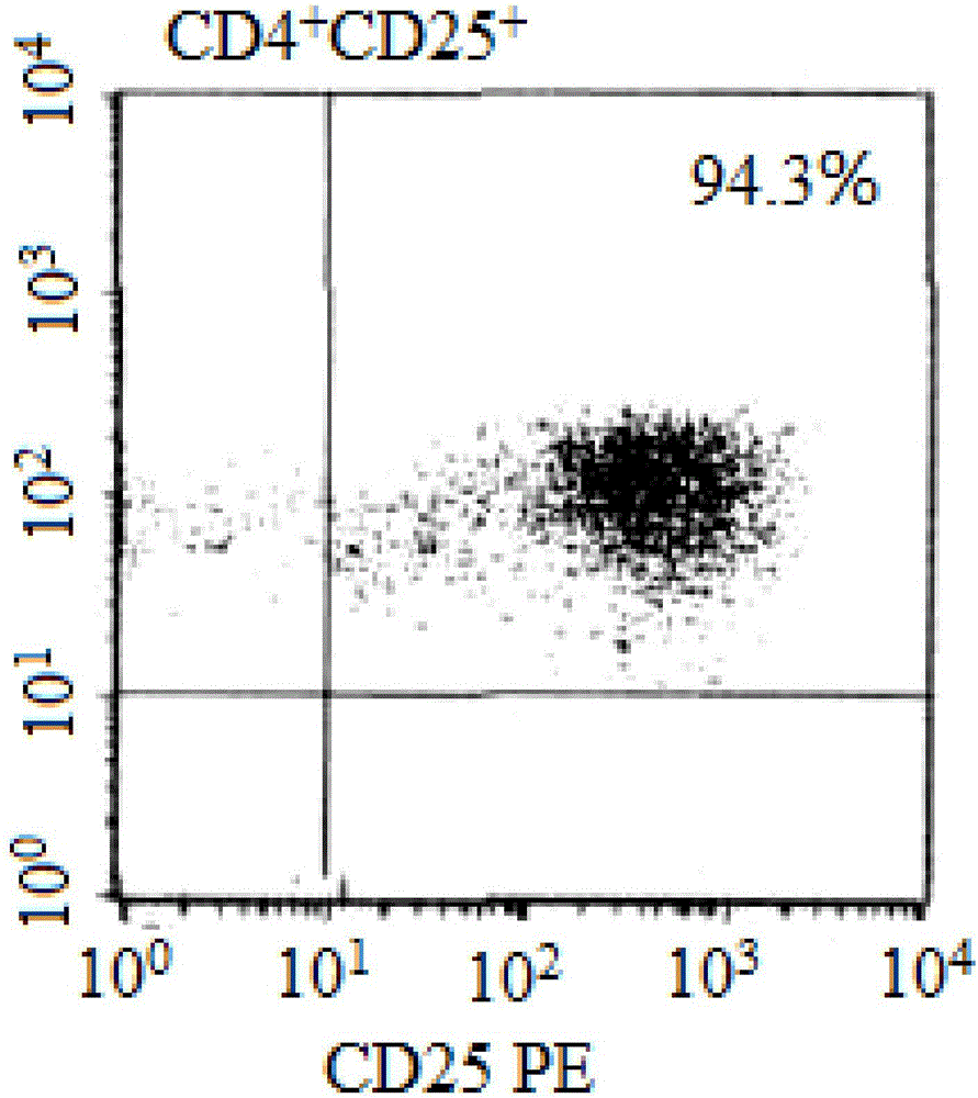 Mixed cell preparation and preparation method and application thereof