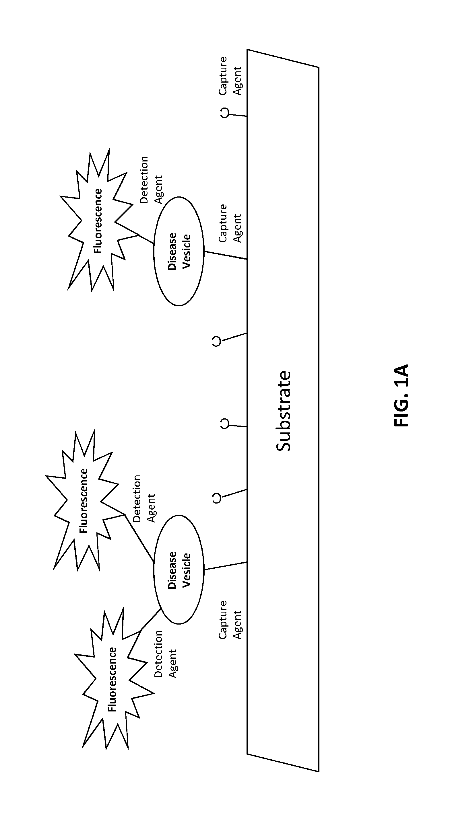 Compositions and methods for aptamer screening