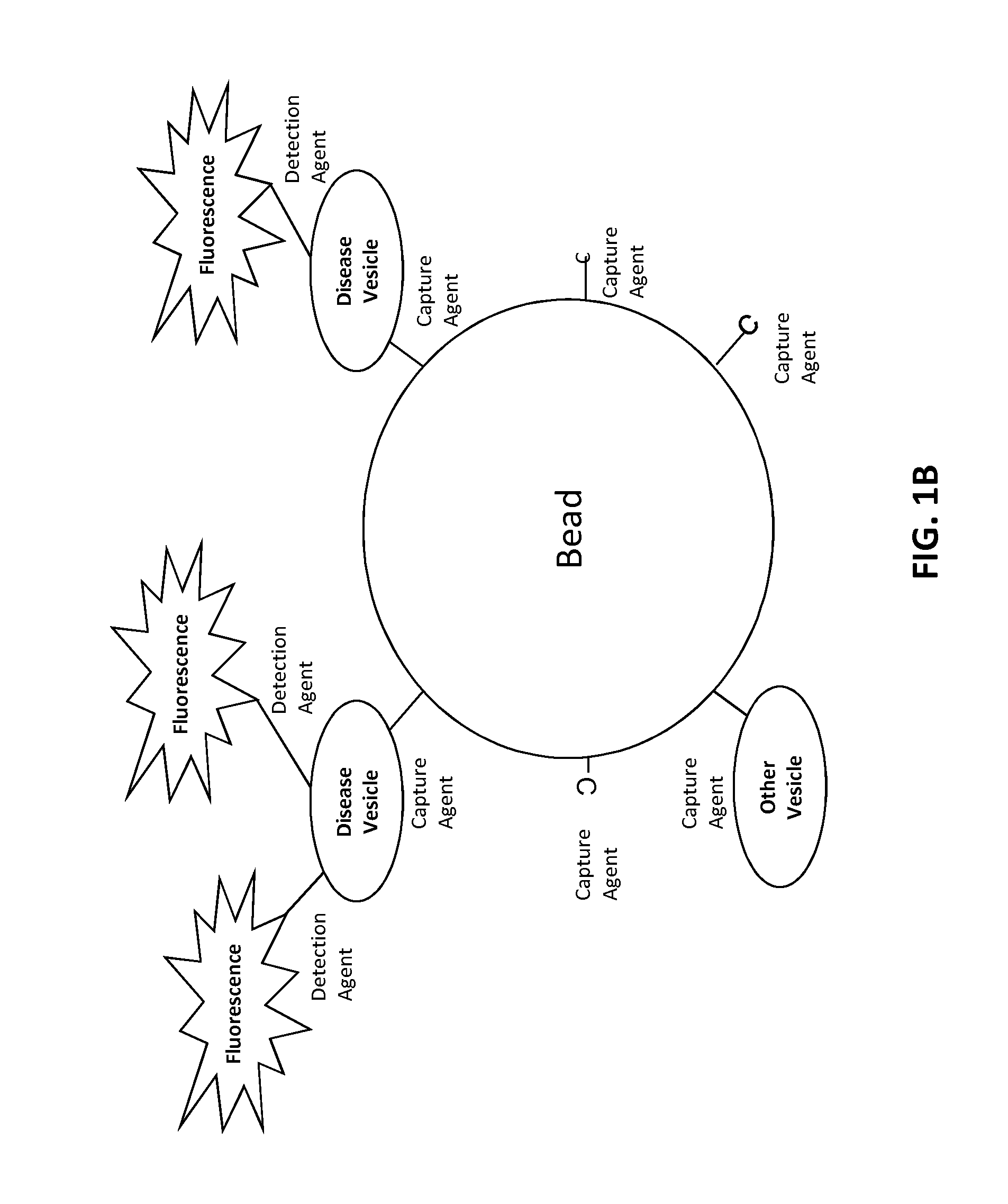 Compositions and methods for aptamer screening