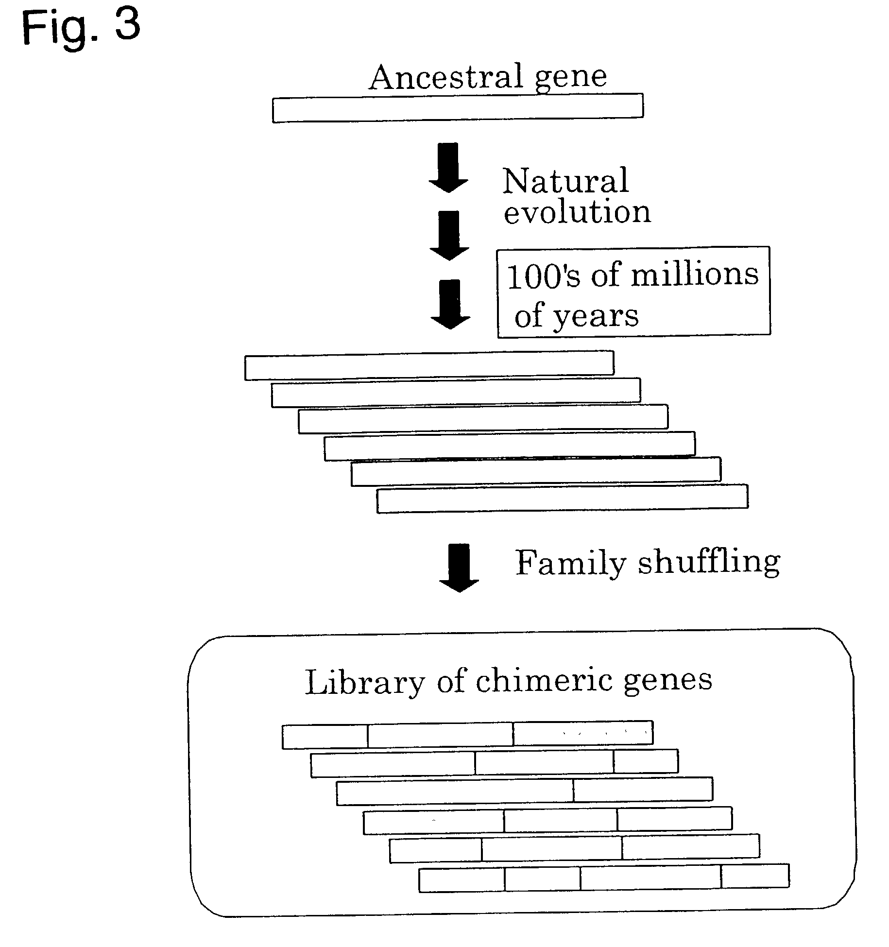 Synthesis of hybrid polynucleotide molecules using single-stranded polynucleotide molecules