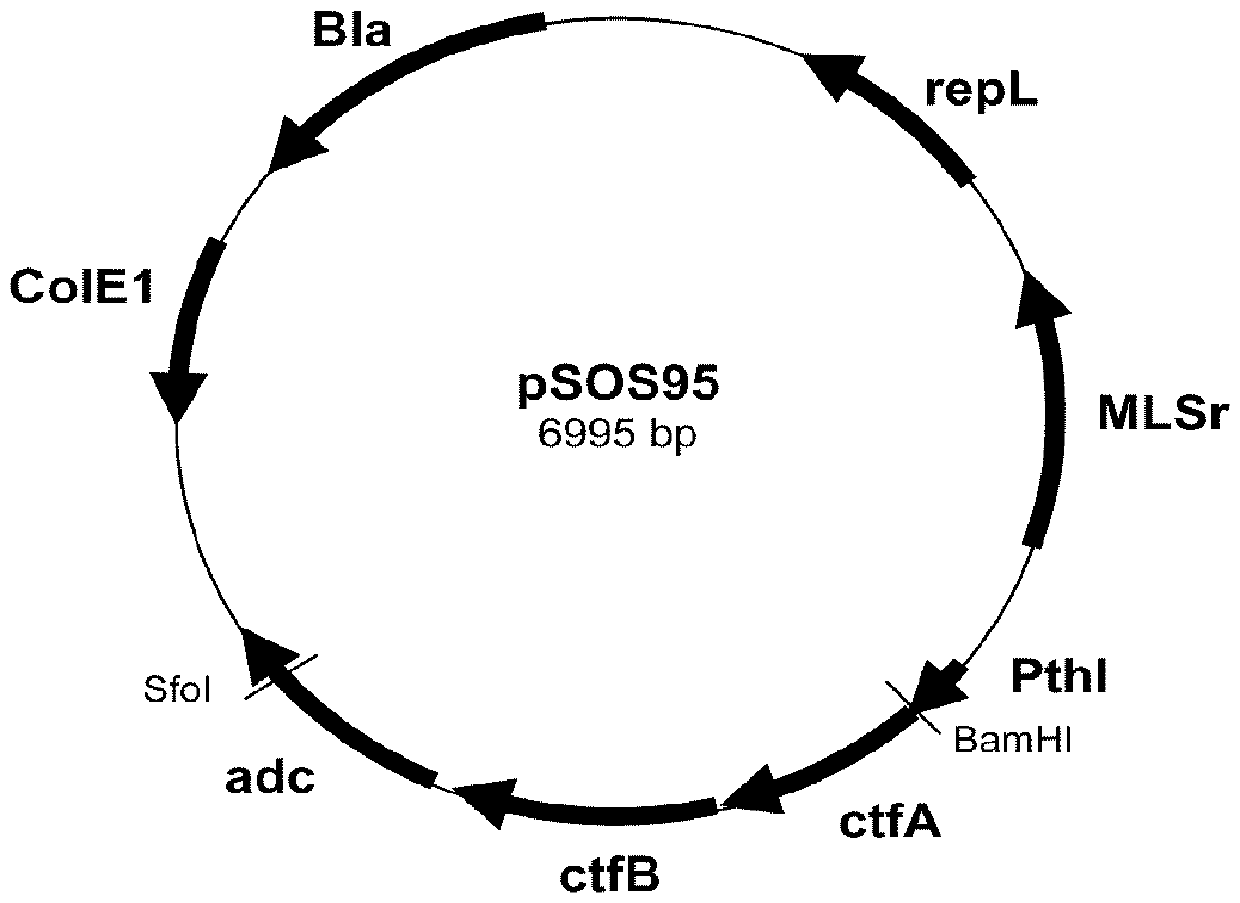 Production of 3-hydroxybutyrate