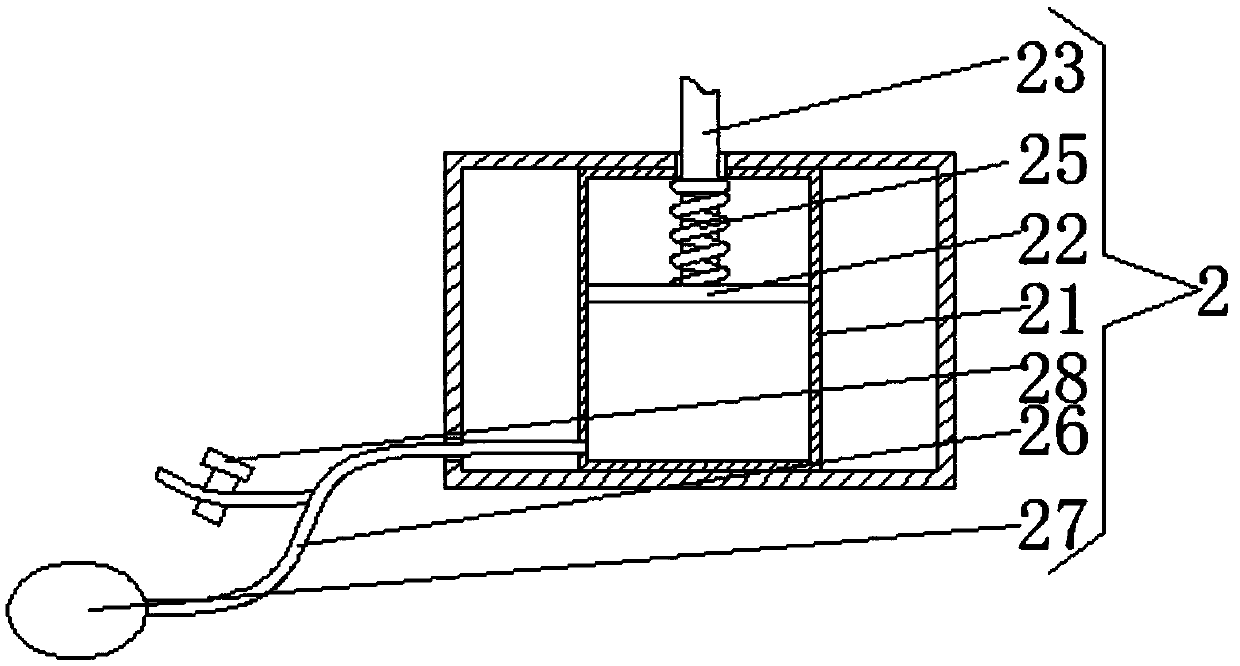 Rapid bacillus concentration detection device