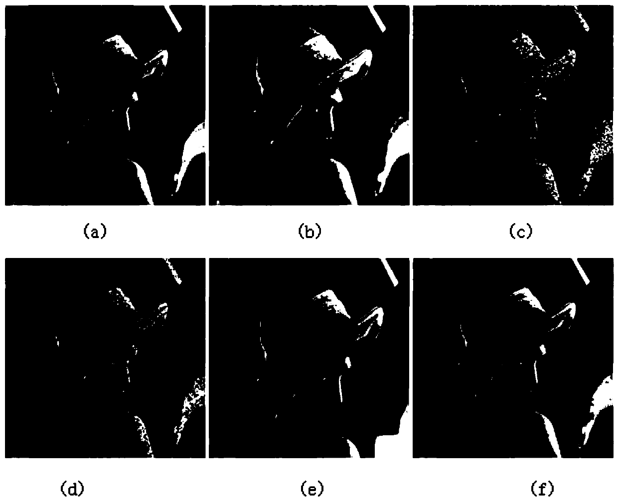 Image Hash algorithm based on quaternion matrix singular value decomposition and application thereof