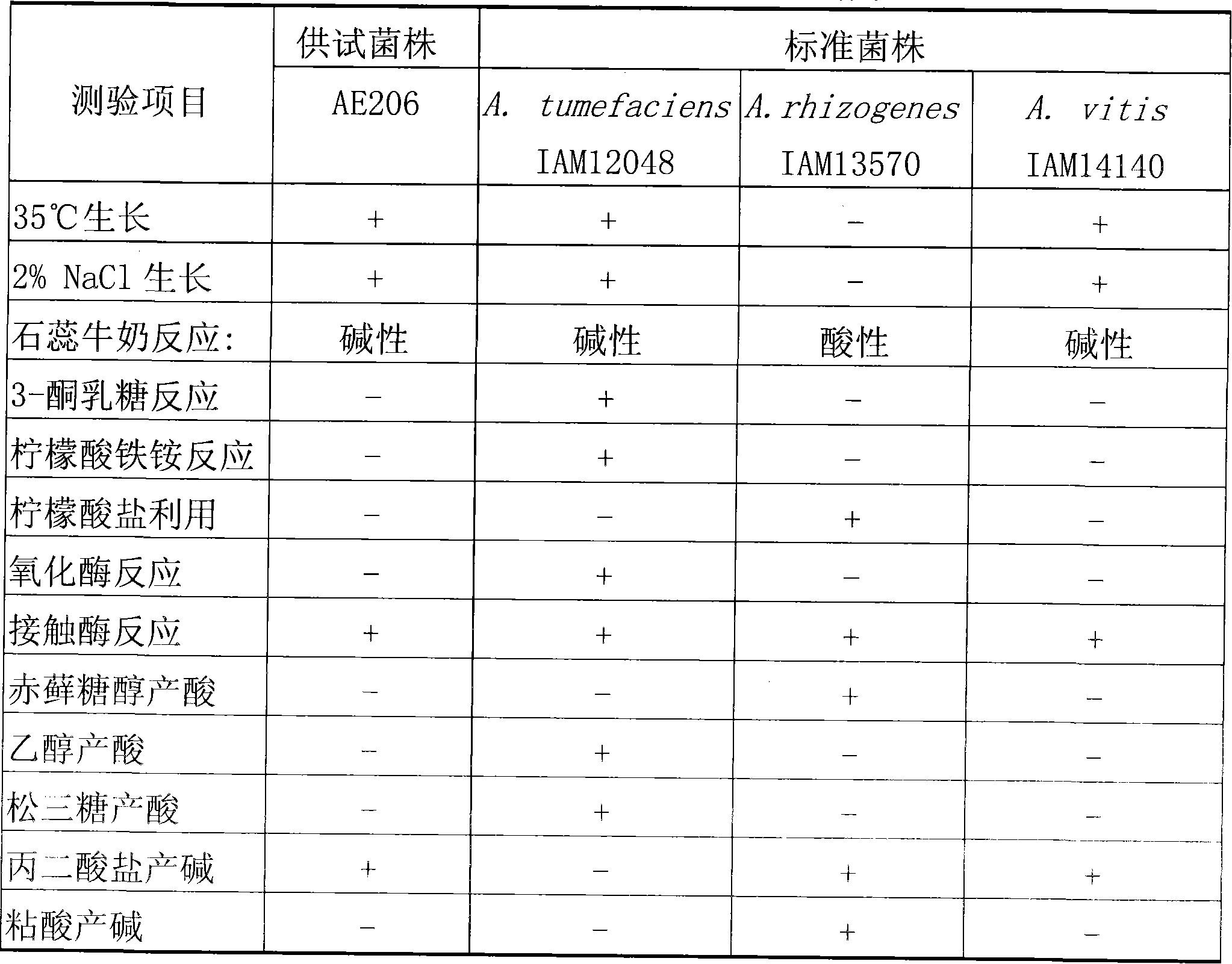 Soil bacilli for preventing and controlling fruit tree crown gall and strain agent thereof and preparation method