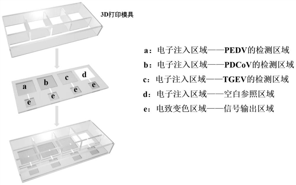 Construction method of high-throughput ratio type chip sensor for simultaneously detecting various porcine diarrhea coronaviruses