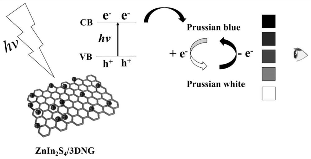 Construction method of high-throughput ratio type chip sensor for simultaneously detecting various porcine diarrhea coronaviruses