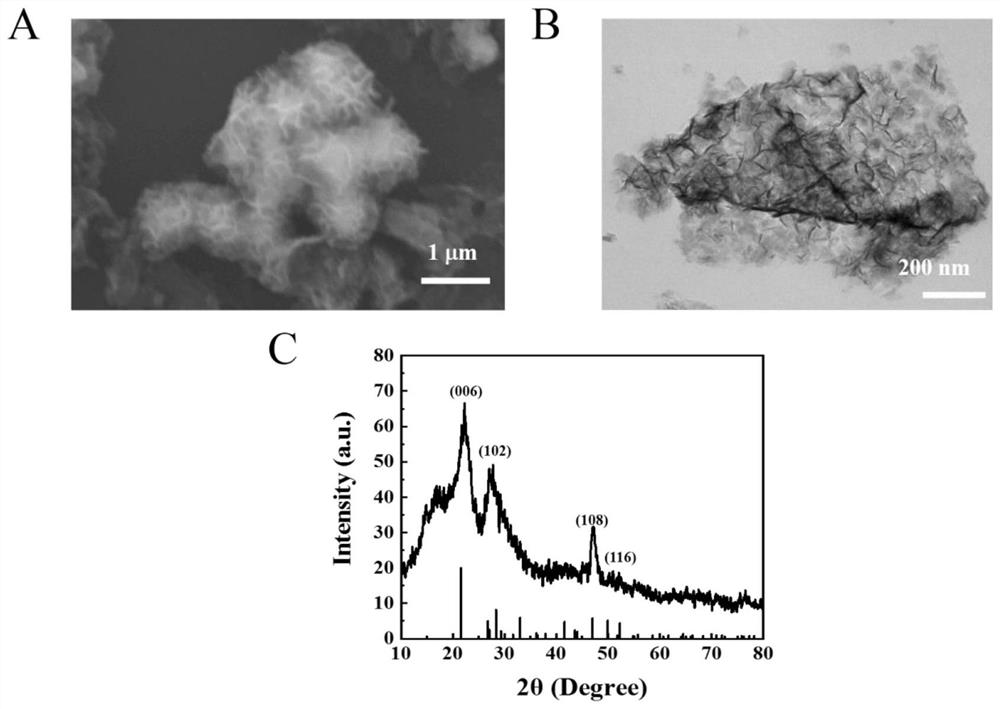 Construction method of high-throughput ratio type chip sensor for simultaneously detecting various porcine diarrhea coronaviruses