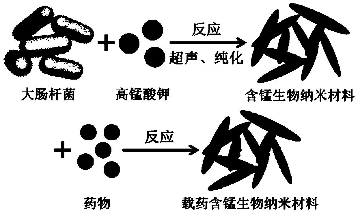 Method for synthesizing manganese-containing nano-biomaterial and application of manganese-containing nano-biomaterial