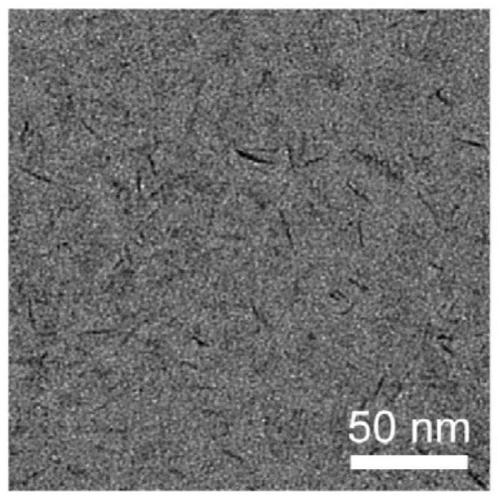 Method for synthesizing manganese-containing nano-biomaterial and application of manganese-containing nano-biomaterial