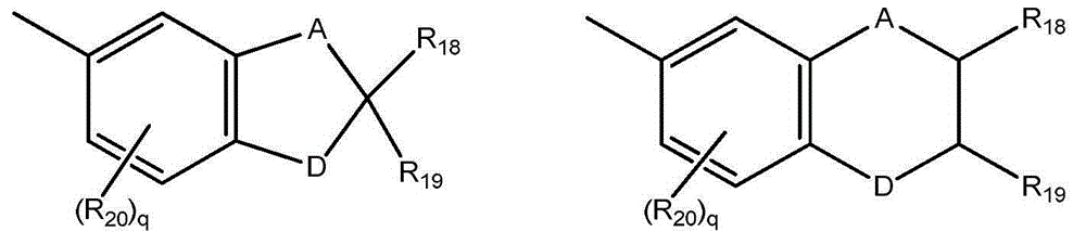 Photochromic articles that include photochromic-dichroic materials