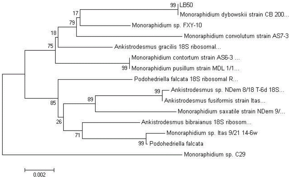 Acquisition and application of grease-producing monoraphidium LB50